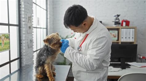 養狗好處|養狗真的對身體好！ 醫認證「3大好處」：降低血壓、心理更健康